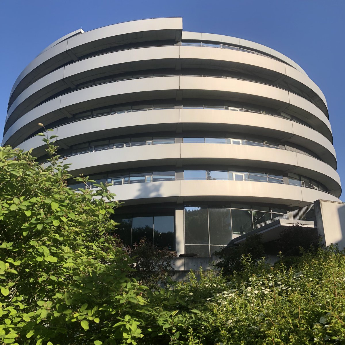 Sarah Barnes tweet media