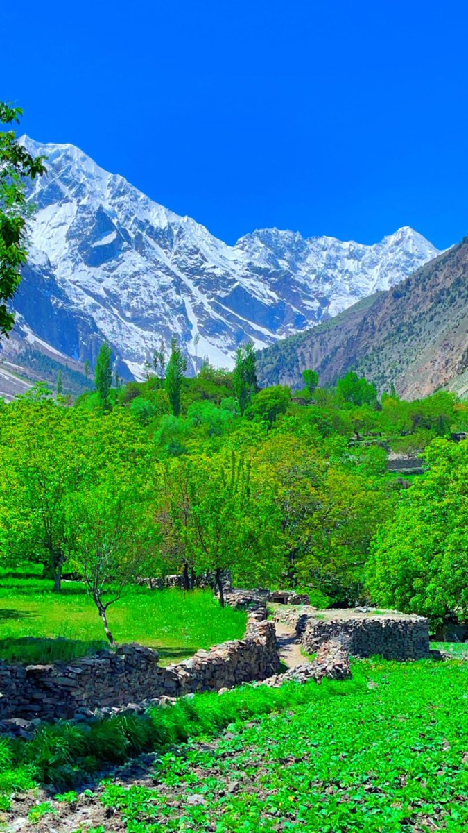 Chaprote's tweet photo. Chaprote  is a scenic and picturesque valley located in Gilgit-Baltistan. It is known for its stunning natural beauty and diverse landscapes, including snow-capped peaks, verdant meadows, and rushing rivers. The valley is also home to a number of historical and cultural sites. https://t.co/SbZXJL7aSn