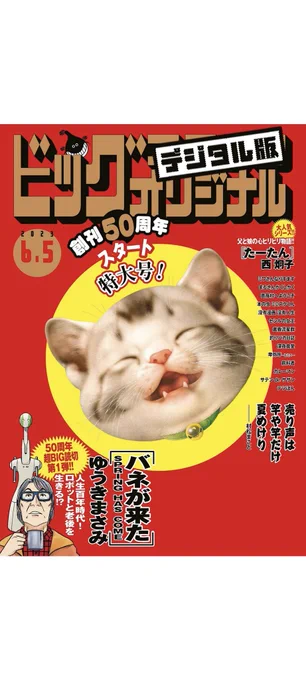 ビッグコミックオリジナル創刊50周年おめでとうございます! 本日発売号のゆうきまさみ先生の作品を皮切りにいろんな作家さんの読切が記念企画として掲載されていくということで、作家さんが豪華すぎて超楽しみなんですが、蠅が一匹紛れ込んでいますね。
