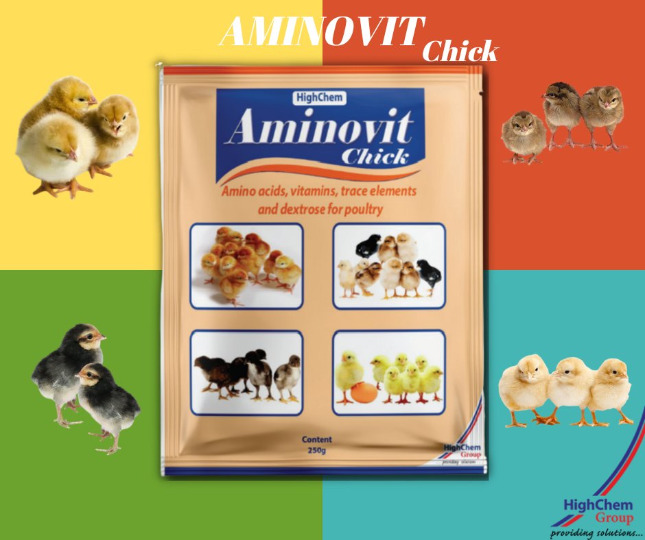 HighChemGroup's tweet photo. Invent your own style of feeding young chicks with AMINOVIT CHICK. A water soluble nutritional supplement containing vitamins, amino acids essential for chicks wellbeing. Available in agrovets. |0709 606 000| sales@highchem.ke #happychicks #healthychicks #ProvidingSolutions https://t.co/StsGVe1Dv2