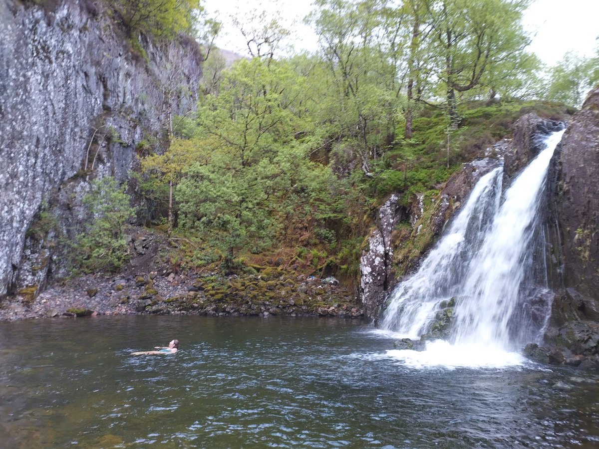 Saz Reed tweet media