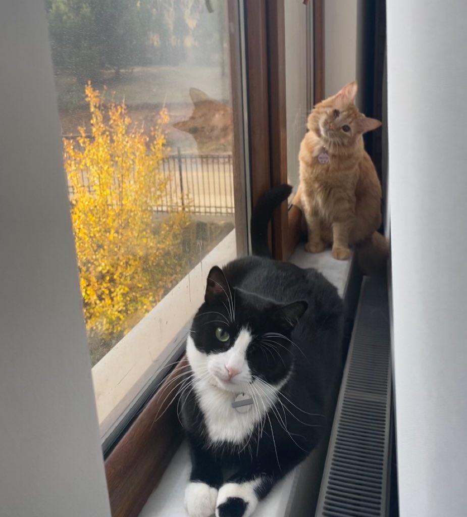 Ne demek oy vermeyeceğiz????