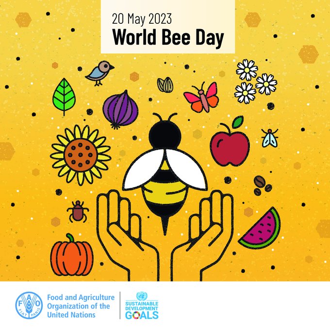 📢 2023 World Bee Day hybrid event

Join us this #WorldBeeDay to celebrate our tiny #FoodHeroes & explore how we can promote pollinator-friendly agricultural production!

TODAY 19 May at 10 am CEST

Register Now 👉bit.ly/3pktcqX

#BeeEngaged