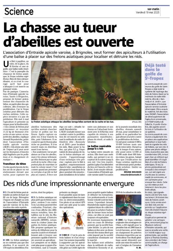 gperrin's tweet photo. @ROBINEAULR @franceinter Et il y a même des territoires précurseurs dans la lutte contre le #frelonasiatique et pour la préservation des abeilles. #golfedesainttropez #VespaVelutinaNigrithorax @franceinter https://t.co/UBbUCNOHgW