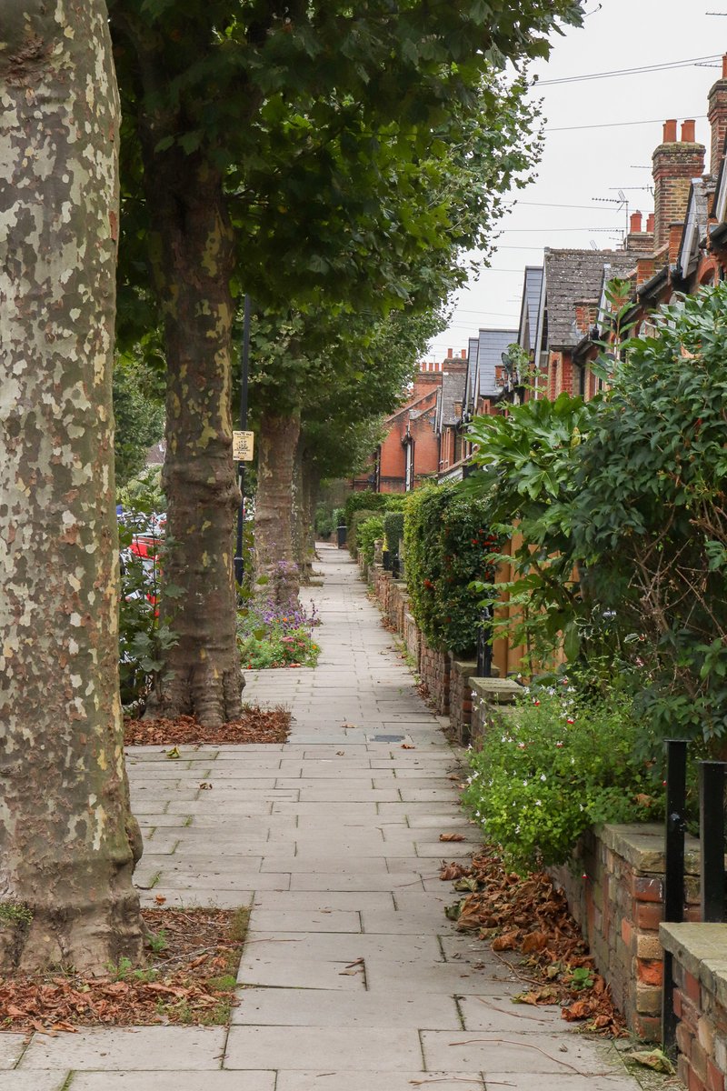TreesforStreets's tweet image. Trees transform streets🌳

Next time you're walking along a tree-lined pavement, think for a moment, about how much of a difference they make..

Let's fill ALL our streets with trees
Treesforstreets.org