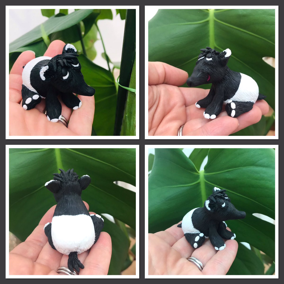 Look who I found hiding in the Swiss cheese plant yesterday! Do you know what he is? … I’ll give you a clue - this isn’t their usual habitat! 😂 #MHHSBD #Earlybiz #polymerclay #exoticanimals #justforfun