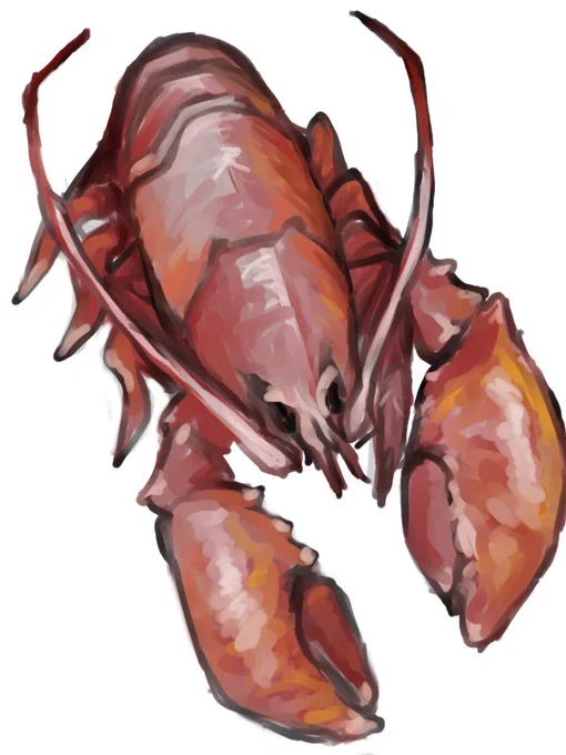 このロブスターが今まで描いたロブスターの中で最高傑作と思っています