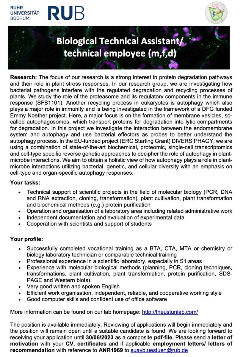 We are hiring‼️ #theustunlab is searching for a technical assistant/technical employee (permanent). Please apply if you wanna join an international team @ruhrunibochum. You can find more info in the ad below & here: jobs.ruhr-uni-bochum.de/jobposting/a50… Please RT! #plantscijobs #proteostasis