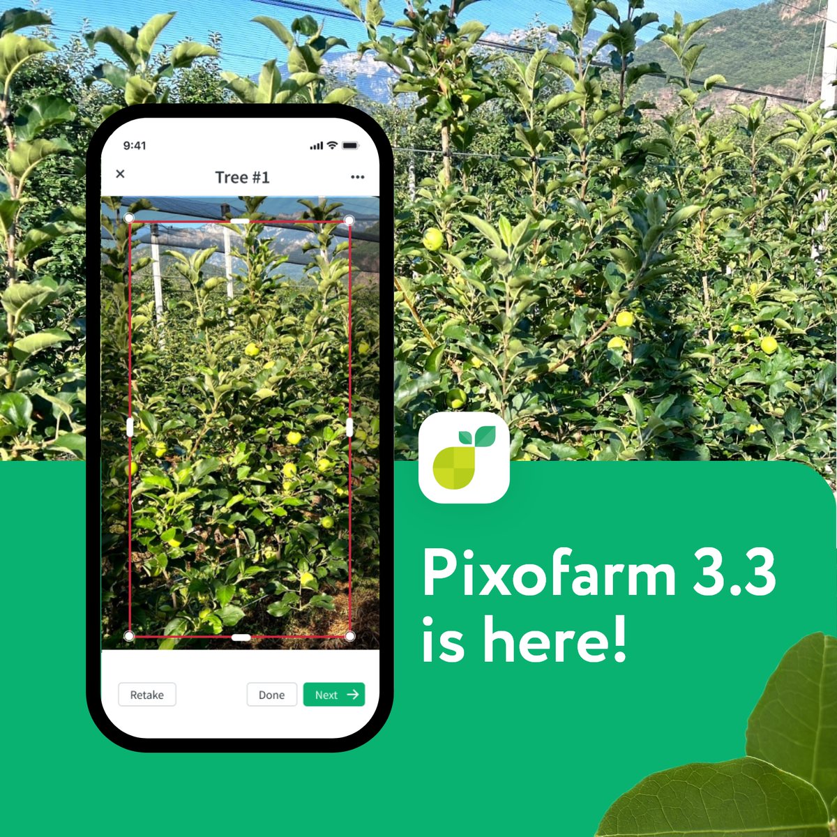 Pixofarmapp's tweet photo. Introducing #Pixofarm 3.3! 🚀 Our latest app update is here, packed with incredible feature updates that will revolutionize your fruit farming experience! 🍎

👉 Download the update today and witness the future of fruit growing firsthand! 📥💚 https://t.co/rlHYhbQrhR