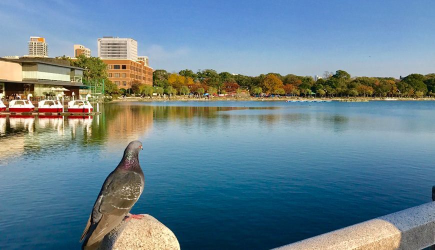 GoGoEasyApp's tweet photo. Ohori Park, Fukuoka Prefecture, Japan

Discover more interesting events in GoGoEasy app:

https://t.co/3uSMwWLNDT

#GoGoEasy #Travel #Trip #Plan #Vacation https://t.co/1VYufIWKcz
