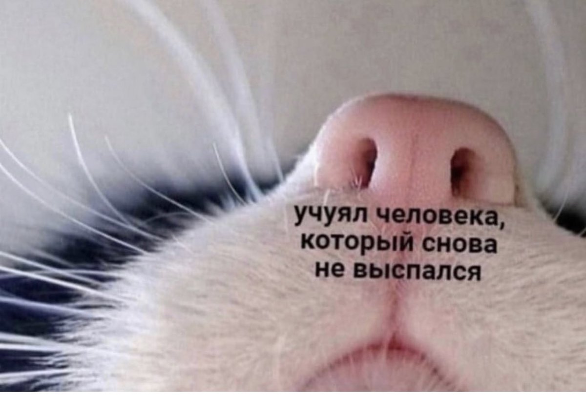 treschenko24's tweet photo. https://t.co/P1s3zvZSor