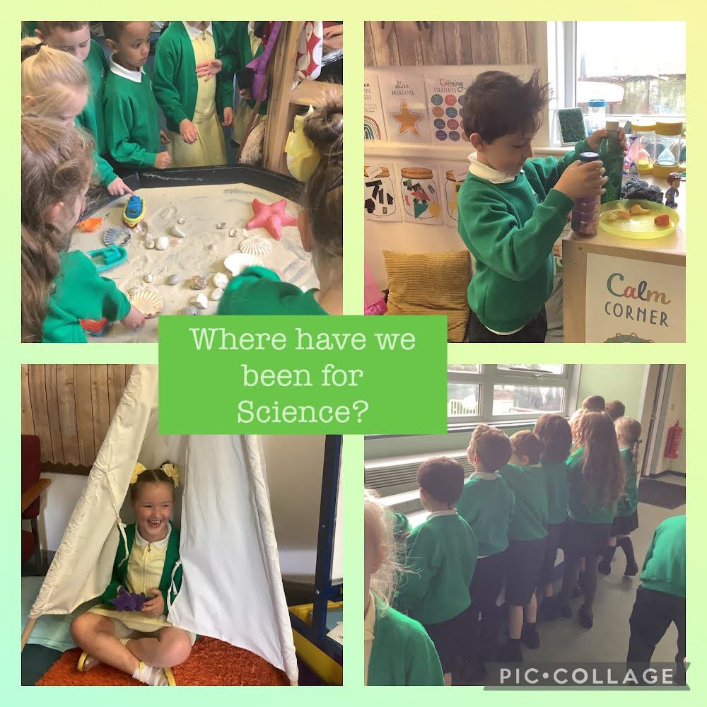 BGPrimary's tweet image. #BGPY1 #BGPScience