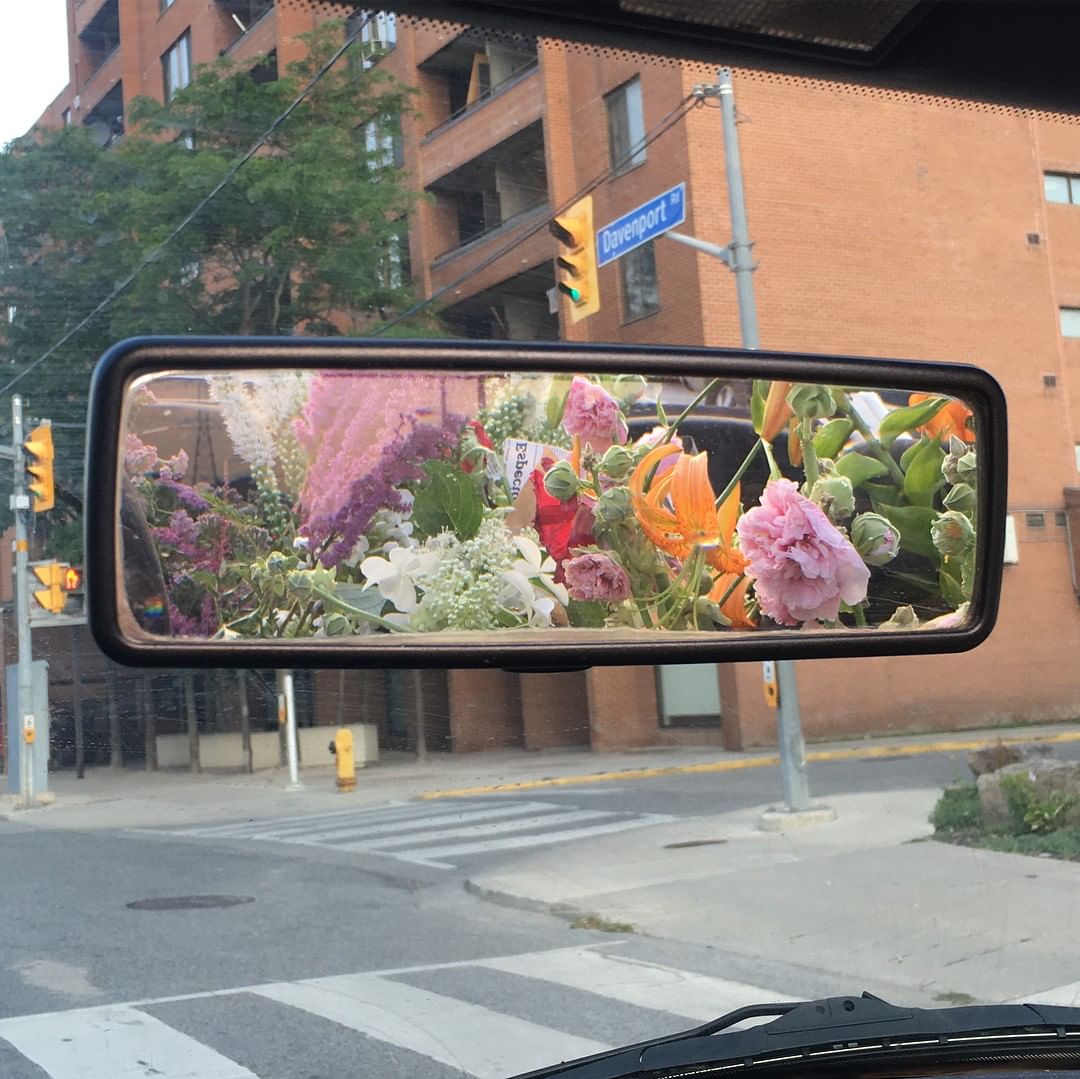 entropy (@ennntropy) on Twitter photo 