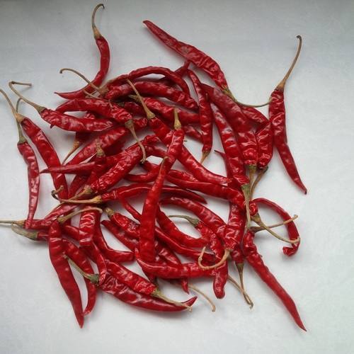 Market Opportunity 

 we have a buyer who needs a farmer ready to supply 
-Red dried bird eye chilli 
-Dried red teja chilli 
-Quantity :30 tones 
if you are ready for this market kindly call or whatsapp us at +250786506040