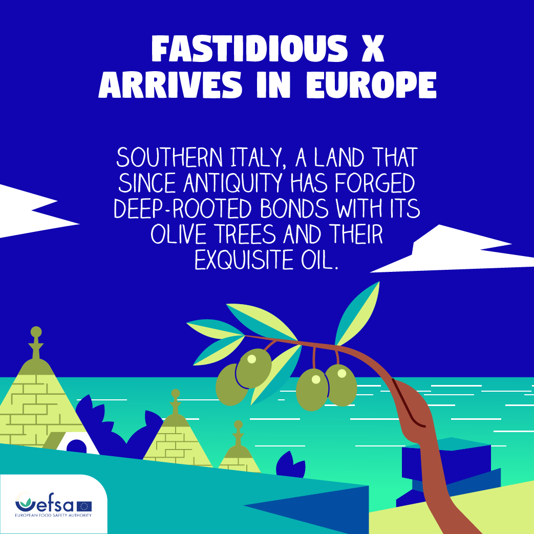EFSA_EU's tweet photo. 📣🆕release alert | Episode 2 of #EFSAComic is out now
Do you remember #FastidiousX, the silent fearsome killer? It's got to Europe!
Follow the journey of scientists & authorities fighting against this threat to our #plants🌿💪
👉https://t.co/AhlQbWOJlK
#EFSA4plants @Plants_EFSA https://t.co/VAemMXY6ag