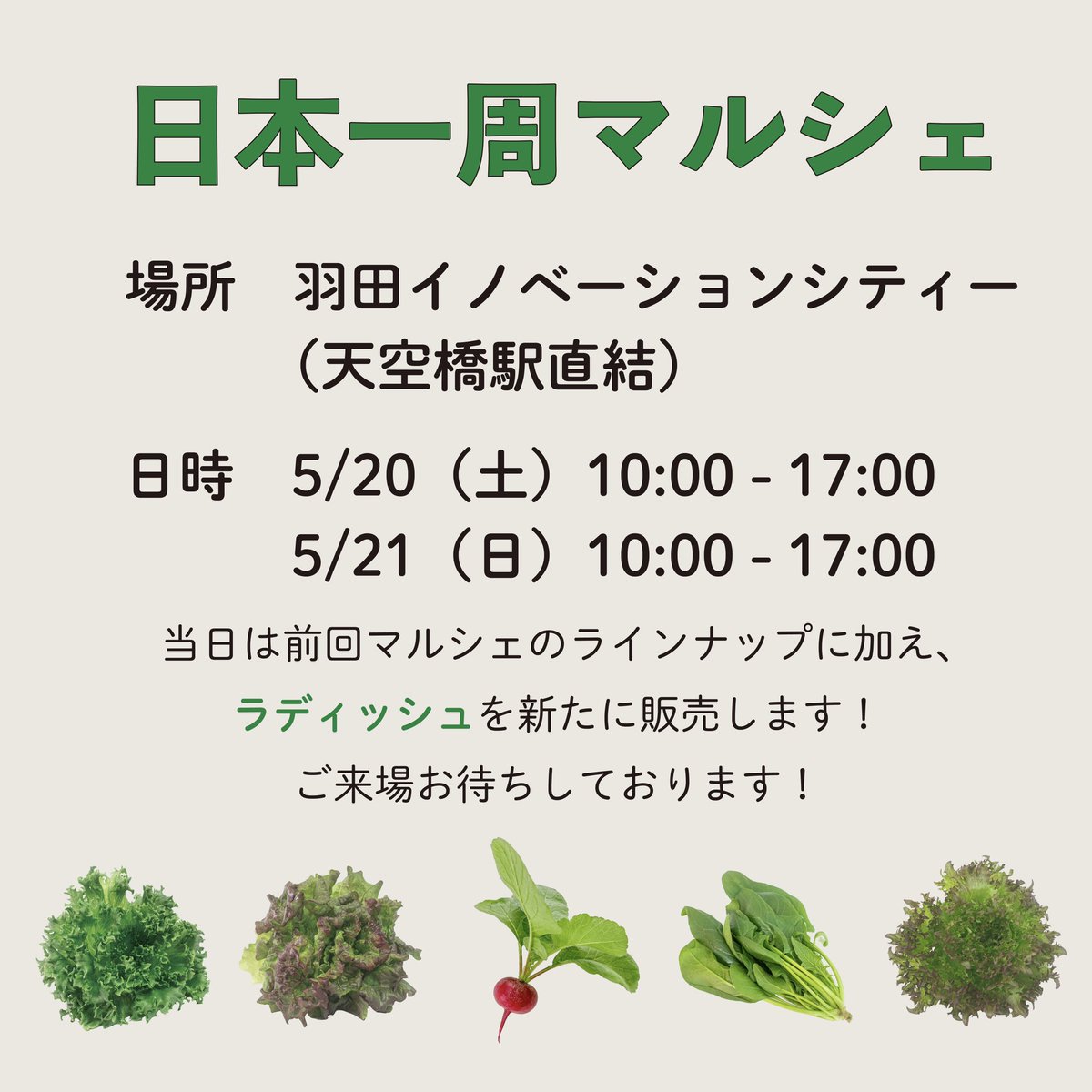 LFT_official's tweet photo. ☆★＼マルシェ出店のお知らせ No.9／★☆

5月20日（土）、5月21日（日）の2日間、日本一周マルシェに出店いたします！
レタスやホウレンソウに加え、今回から新しく仲間に加わったラディッシュ✨赤くてかわいい見た目と、甘くてみずみずしい味わいが自慢です♪

#マルシェ
#HiCity
#レタス
#羽田産 https://t.co/rDIyCL5tYK
