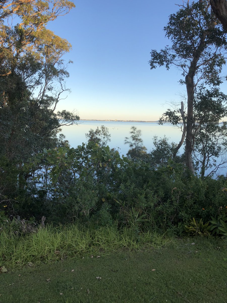 Cleo, Belle, Mumma & 🌈Ruben🌈 tweet media