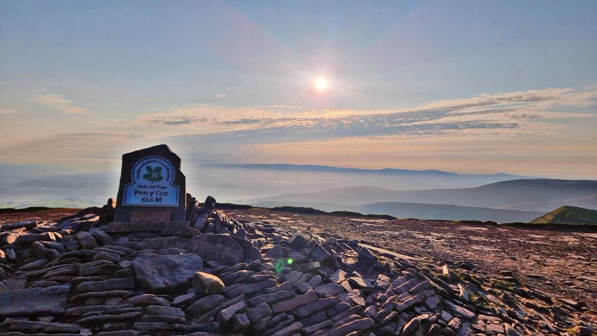 Tracy Purnell tweet media