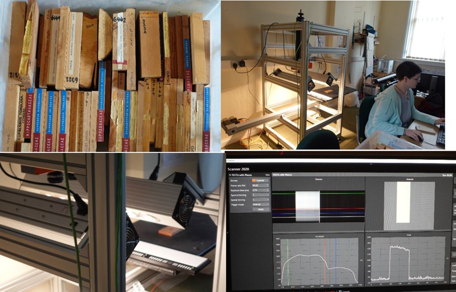 Graham Ormondroyd (@woodsciman) on Twitter photo Did you know we have a National Archive of Wood with over 5000 species <a href="/BangorUni/">Bangor University</a>? Our intern Kim is using hyperspectral imaging to create NIR fingerprints for wood identification. This database will serve as a valuable online resource for forest and tim⦠Did you know we have a National Archive of Wood with over 5000 species <a href="/BangorUni/">Bangor University</a>? Our intern Kim is using hyperspectral imaging to create NIR fingerprints for wood identification. This database will serve as a valuable online resource for forest and timā¦