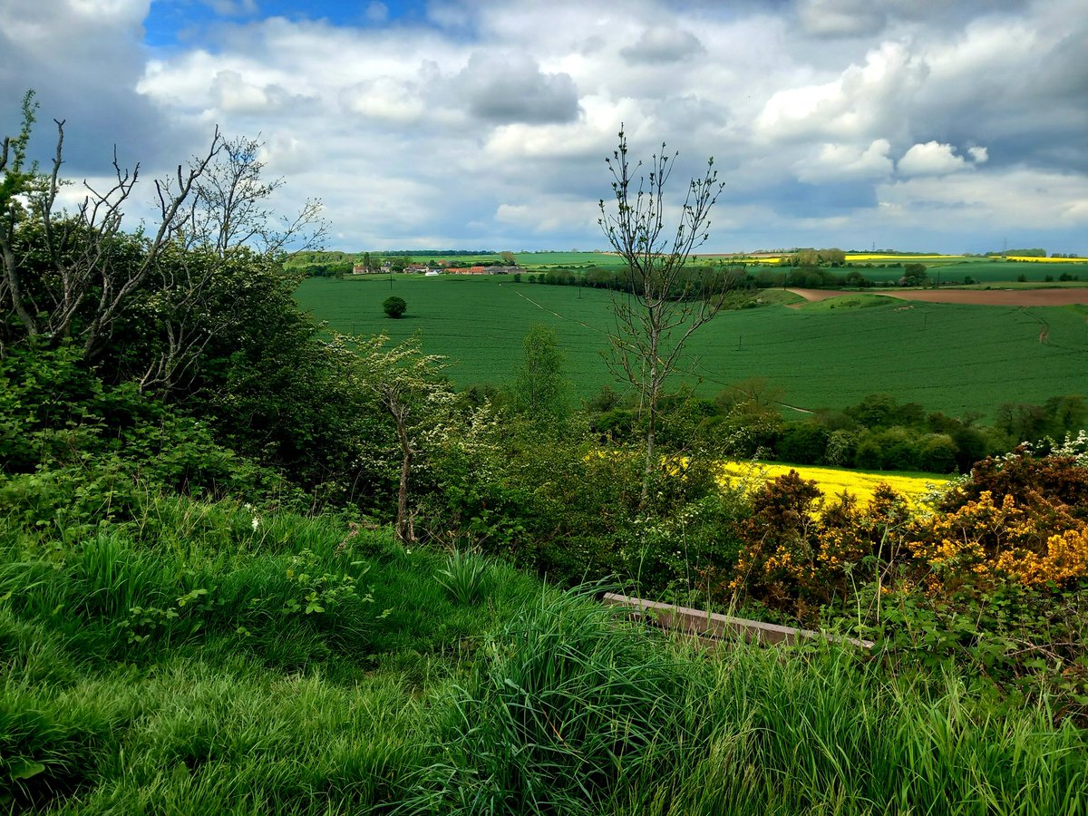 umper_lumpa's tweet photo. @Hudsonweather Weather pics at Slade Hooton, South Yorkshire. https://t.co/OVgtJw9Bb6