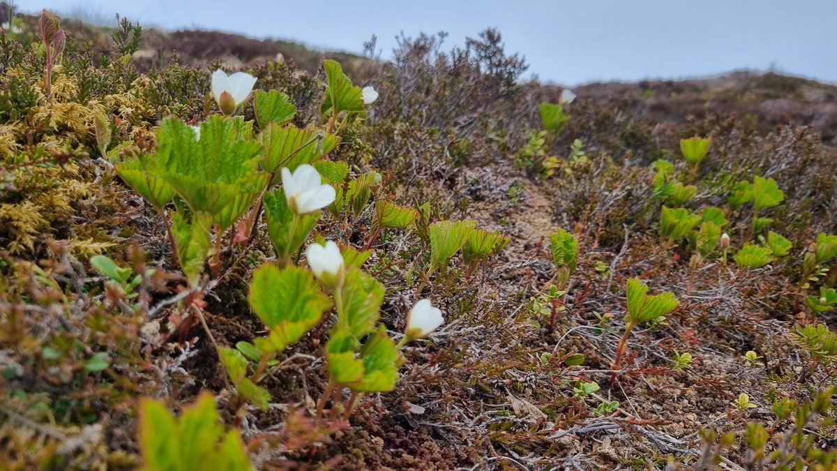 Malcolm O'Reilly tweet media