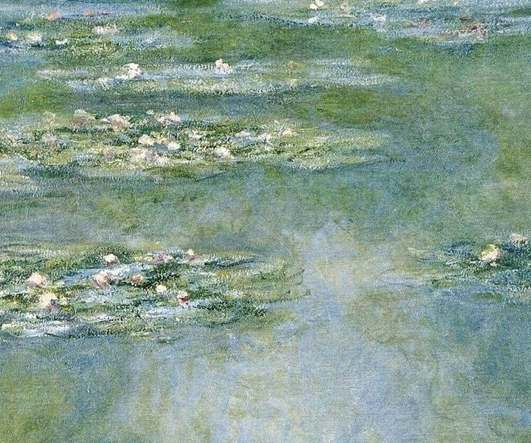 AcademiaAesthe1's tweet photo. Claude Monet’s water lilies https://t.co/pqS8Xle9zY