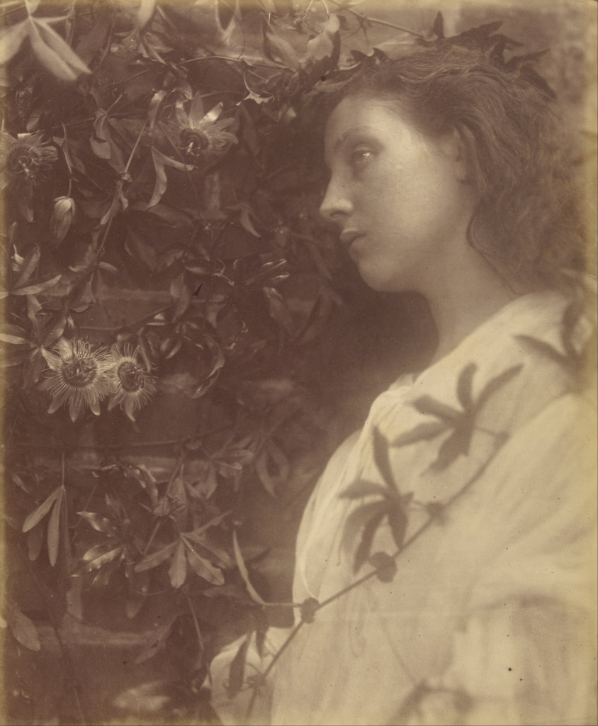 museumen's tweet photo. There has Fallen a splendid Tear From the Passion Flower at the Gate,Julia Margaret Cameron - Maud  (1875) https://t.co/k5PJ9WH3om
