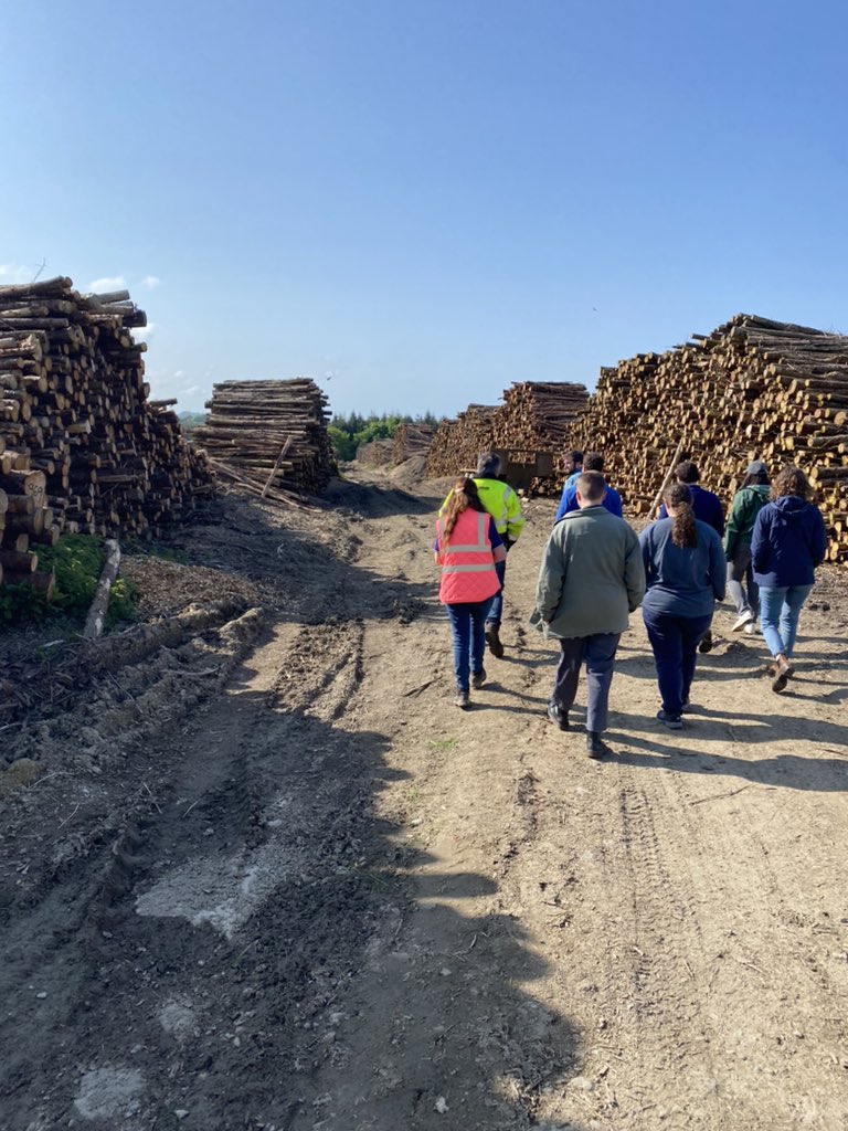Patrick Drohan (@pedzolization) on Twitter photo Special thanks to <a href="/iWoodProducers/">Irish Wood Producers</a> Alex Kelly, Pat Doyle, Nicholas Roberts, and Simon Ryan <a href="/newbawnwildbird/">simon ryan</a> for a great Irish #Forest visit and discussion in the southeast! <a href="/PSUecosystems/">PSU Ecosystems</a> Special thanks to <a href="/iWoodProducers/">Irish Wood Producers</a> Alex Kelly, Pat Doyle, Nicholas Roberts, and Simon Ryan <a href="/newbawnwildbird/">simon ryan</a> for a great Irish #Forest visit and discussion in the southeast! <a href="/PSUecosystems/">PSU Ecosystems</a>