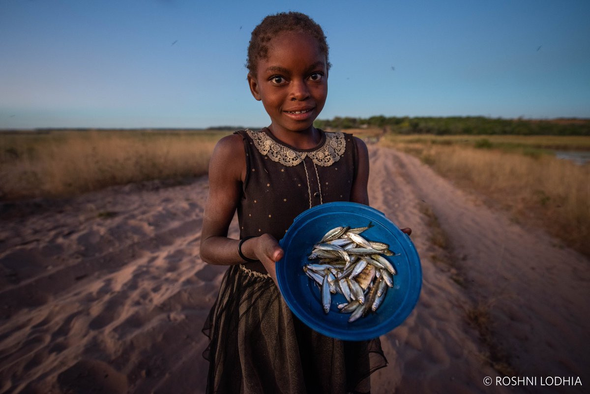Nature_Africa's tweet image. The project will support communities of the upper Cubango-Okavango in #Angola to sustainably improve their livelihoods through conservation initiatives that protect the landscape's vital resources and strengthen economic development.