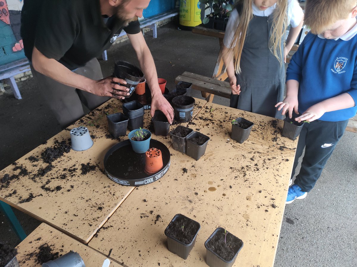 STS C.I.C tweet media