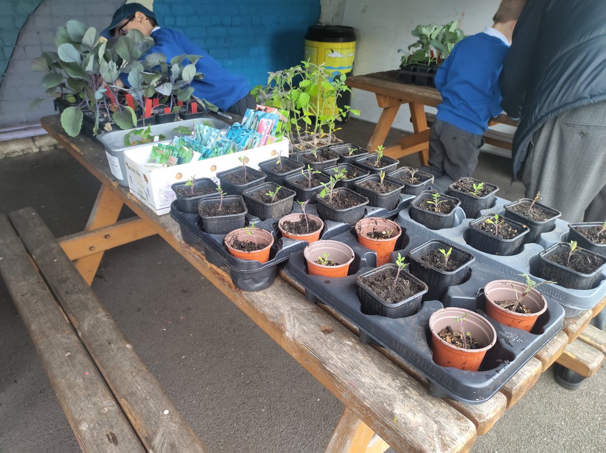 STS C.I.C tweet media