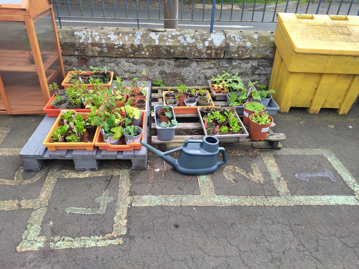 STS C.I.C tweet media