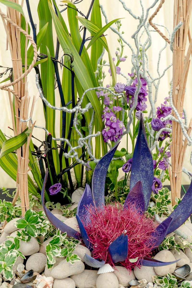 DevonCountyShow's tweet photo. ๐ท๐น๐ผ Check out this year's stunning Floral Art creations in the Crafts & Gardens marquee ๐ท๐น๐ผ
#flowers #floralart #flowermagic #floraldesign #devoncountyshow #creamofdevon https://t.co/AJhokJQU4k