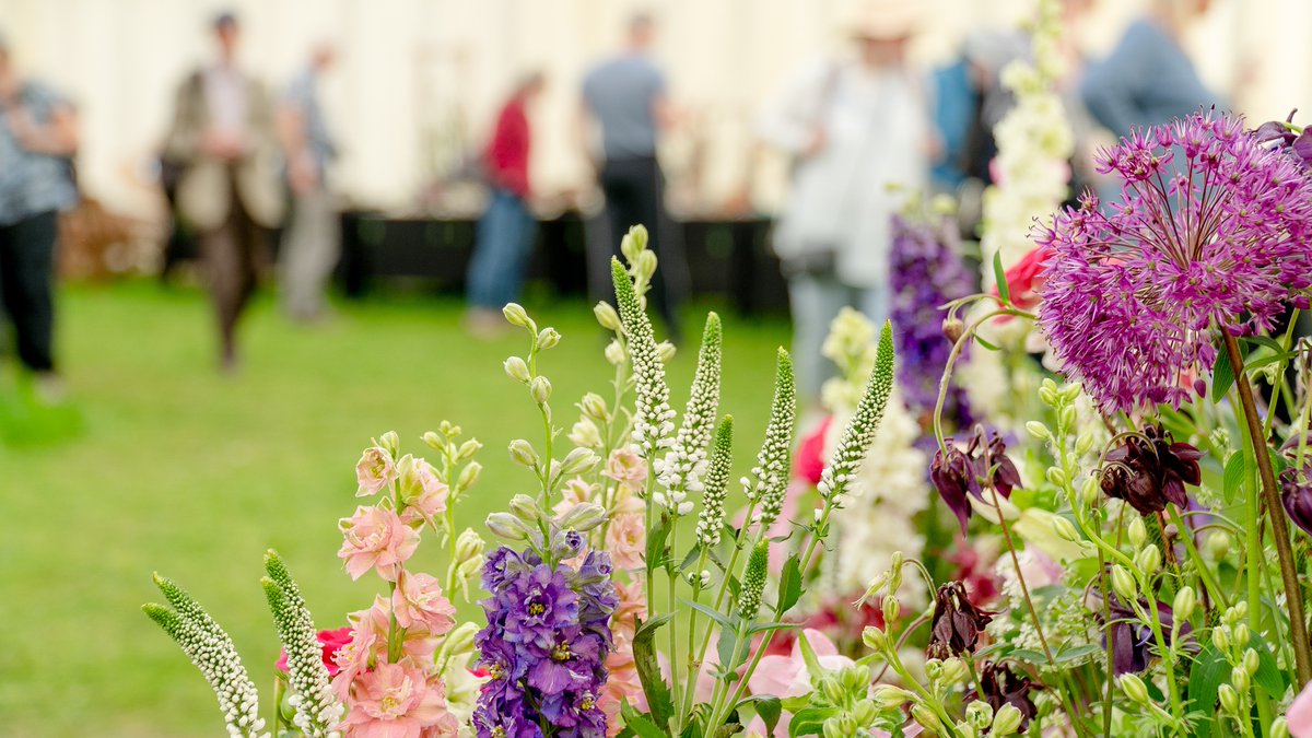 DevonCountyShow's tweet photo. ๐ท๐น๐ผ Check out this year's stunning Floral Art creations in the Crafts & Gardens marquee ๐ท๐น๐ผ
#flowers #floralart #flowermagic #floraldesign #devoncountyshow #creamofdevon https://t.co/AJhokJQU4k