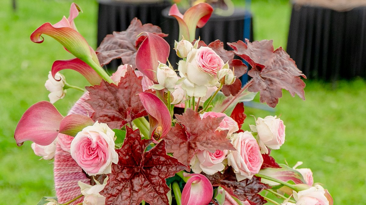 DevonCountyShow's tweet photo. ๐ท๐น๐ผ Check out this year's stunning Floral Art creations in the Crafts & Gardens marquee ๐ท๐น๐ผ
#flowers #floralart #flowermagic #floraldesign #devoncountyshow #creamofdevon https://t.co/AJhokJQU4k