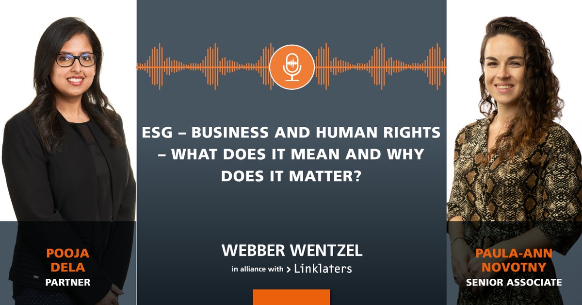 LISTEN | <a href="/DelaPooja/">Pooja Dela</a> and Paula-Ann Novotny discuss #ESG management frameworks that envision the consideration of #sustainability-related impacts, risks, and opportunities on the same level as corporate objectives: bit.ly/453kxcE

#BHR #100More