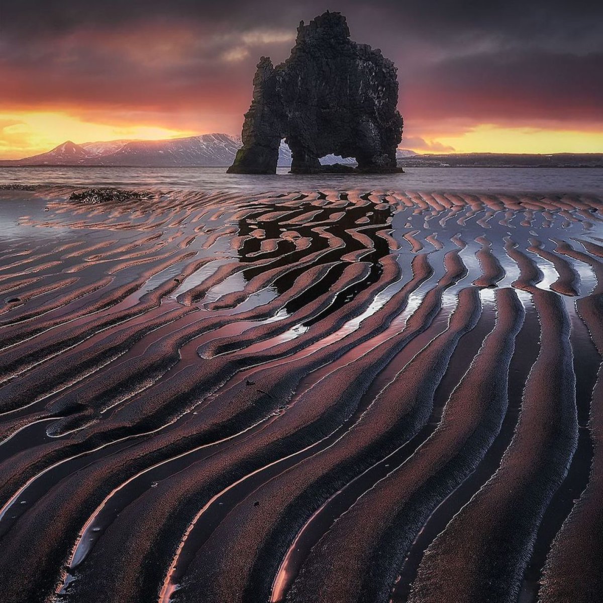 LMPositif's tweet photo. 🇮🇸 Une sublime plage d'Islande à marée basse ! Très bonne journée à tous ! 🍀☀️

📸 Juan Solís https://t.co/heh70Jv15q