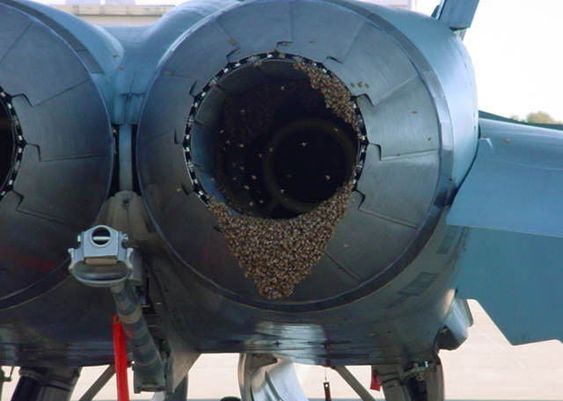 RAF Association tweet media