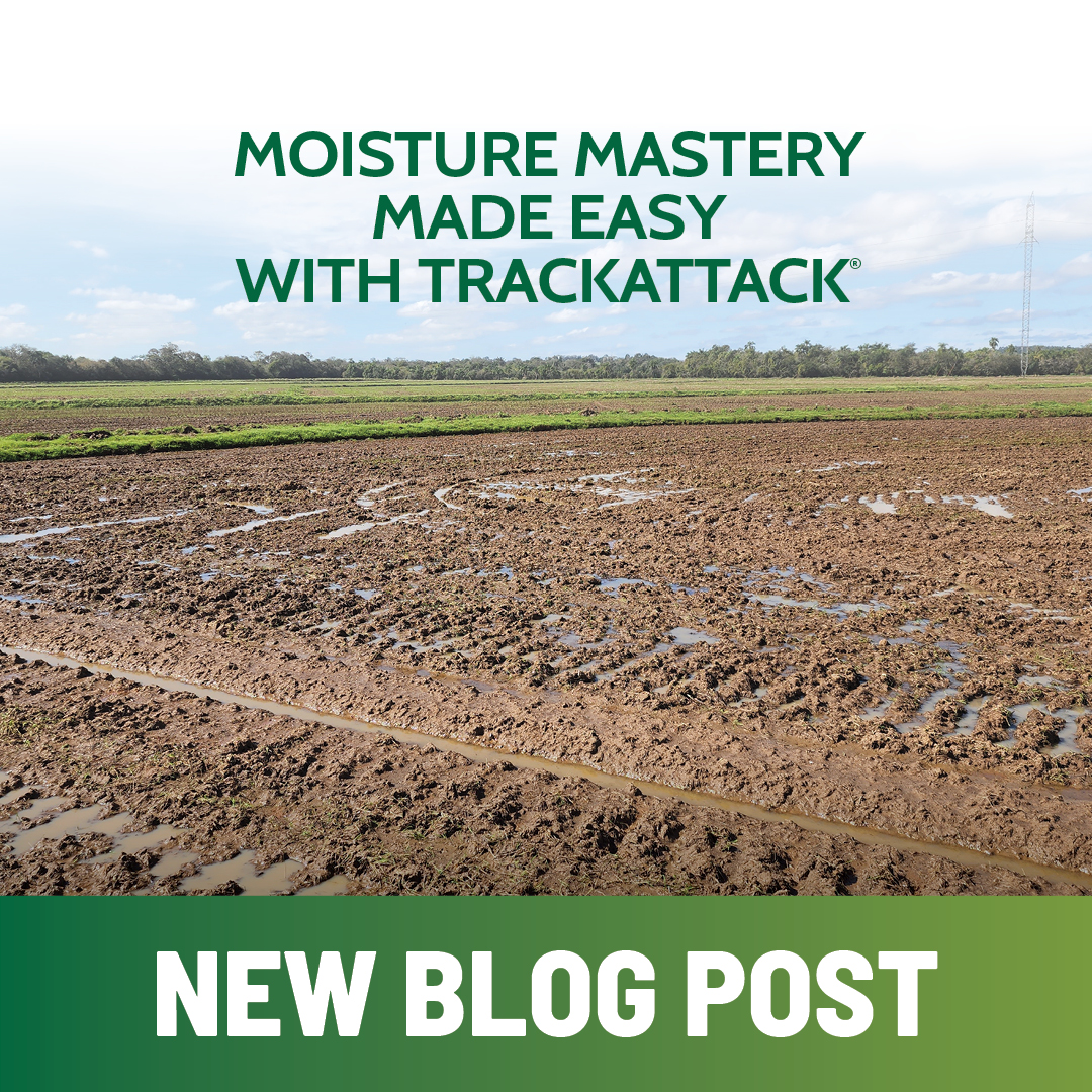 kline_ag's tweet image. Maximize farming success with efficient moisture management. Explore how the TrackAttack® enhances soil health, water efficiency, crop yields, and overall farm productivity. Read more here: k-line.net.au/news/moisture-…

#klineag #tillage #agriculture