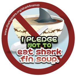 adri1545's tweet photo. A solution to shark finning is boycotting restaurants to help spread awareness to the people that eat and sell shark fin soup. If there is a fewer demand for this dish, then the shark population won’t decrease rapidly. #39canimals https://t.co/ZBMCc9ERb9