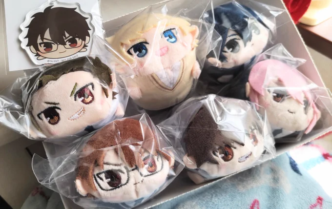 無事に届いたーーー!! 可愛すぎる………………… 鳴ちゃん、さすがズルい存在感……ww