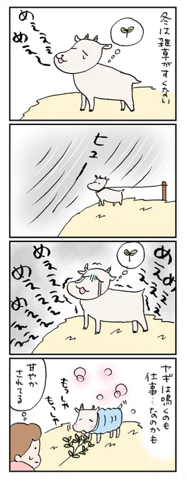 冬のヤギはお世話が大変(再掲)#漫画が読めるハッシュタグ