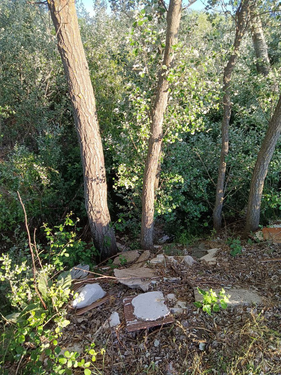 eeaparla's tweet photo. @catedradeltajo @chtajo @AytoParla @Javi_R13
Éste es el estado del arroyo #Humanejos Guaten en #Parla cerca de su nacimiento. Abandono, suciedad en el cauce, vertidos incontrolados de aguas residuales etc, a pesar de atravesar un yacimiento arqueologico emblemático https://t.co/tjVzqjWxqC