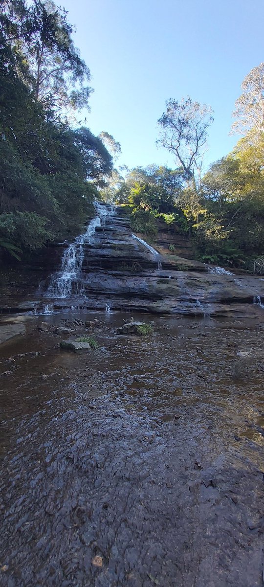 argent13uk's tweet photo. After a bit of a crappy few days in the office, I spent the day in the Blue Mountains and all is well again. https://t.co/UaG8v66FrK