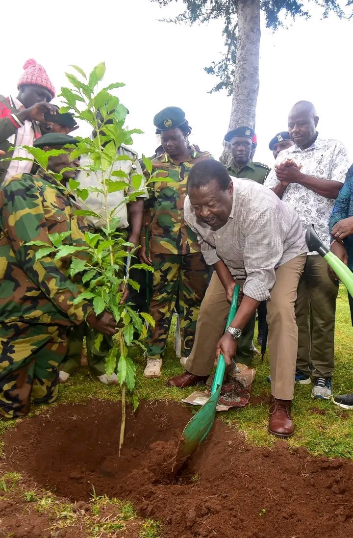 NakuruRuto's tweet photo. Also for ecosystem conservation its vital to plant trees.
PCS Mudavadi #OPCSTreePlanting PS Rono https://t.co/HbZIdSwRd5
