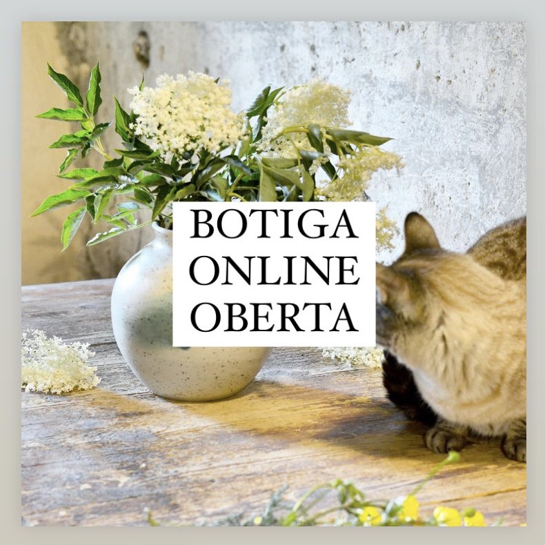 Feu-hi un vistasso!

lavelladeromadriu.cat