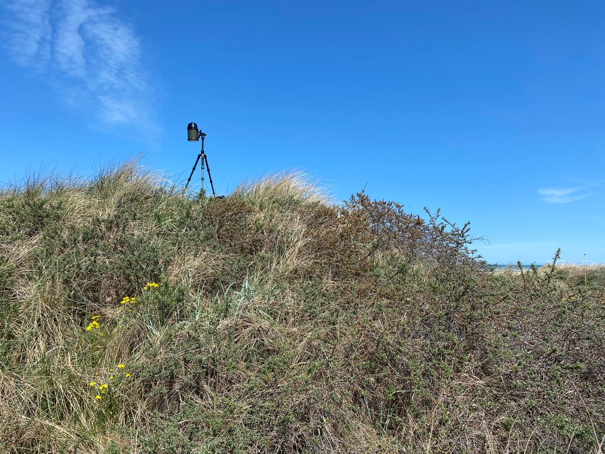 EMBLtrec's tweet photo. Sampling continues in Tversted 🇩🇰, a stunning spot with a wide beach, sand dunes and quite some waves.

After a week of hard work, the team enjoyed a yummy ice cream. 🍦

Have a sweet weekend!

📸 @TinaEnd / Kerstin Leberecht / EMBL

@embl @EMBRC_EU @TaraOcean_ https://t.co/q71f9KAxvk