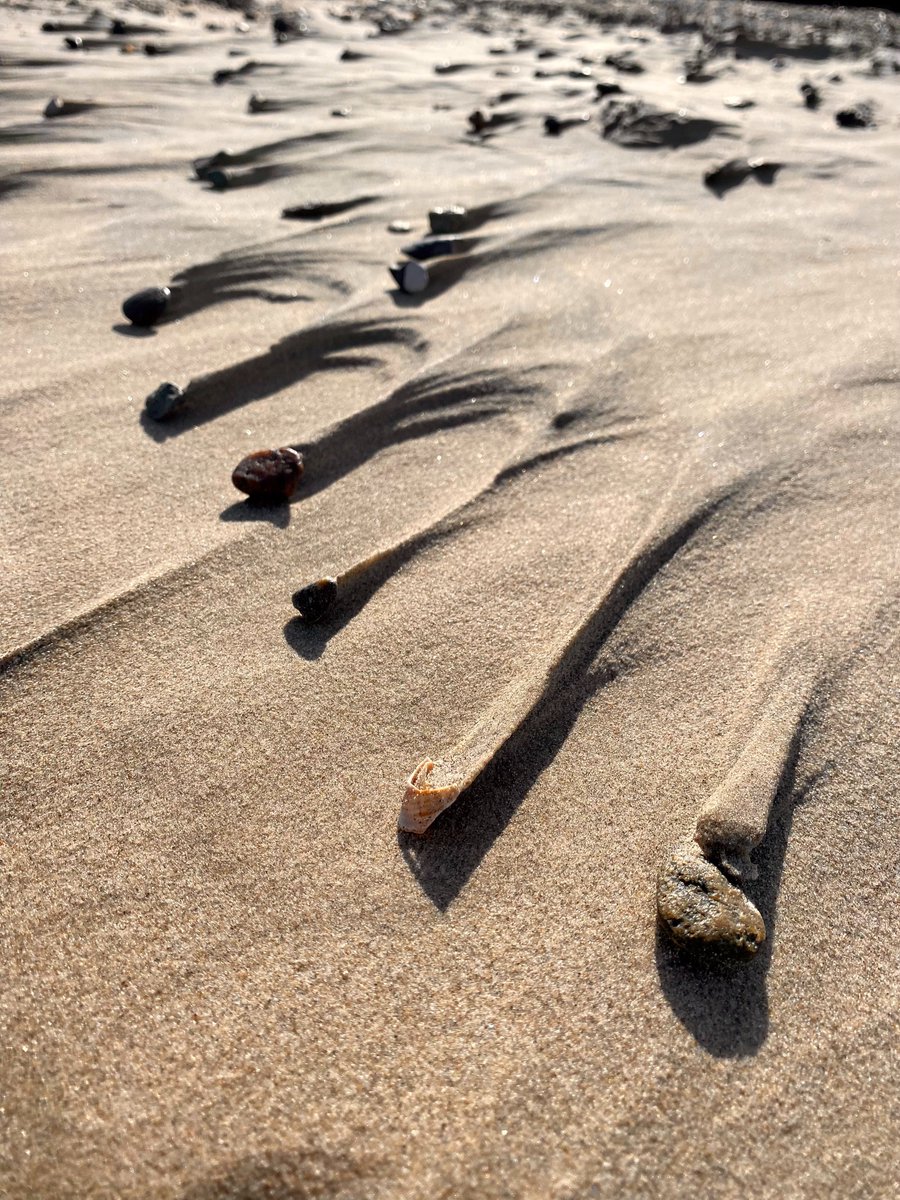 EMBLtrec's tweet photo. Sampling continues in Tversted 🇩🇰, a stunning spot with a wide beach, sand dunes and quite some waves.

After a week of hard work, the team enjoyed a yummy ice cream. 🍦

Have a sweet weekend!

📸 @TinaEnd / Kerstin Leberecht / EMBL

@embl @EMBRC_EU @TaraOcean_ https://t.co/q71f9KAxvk