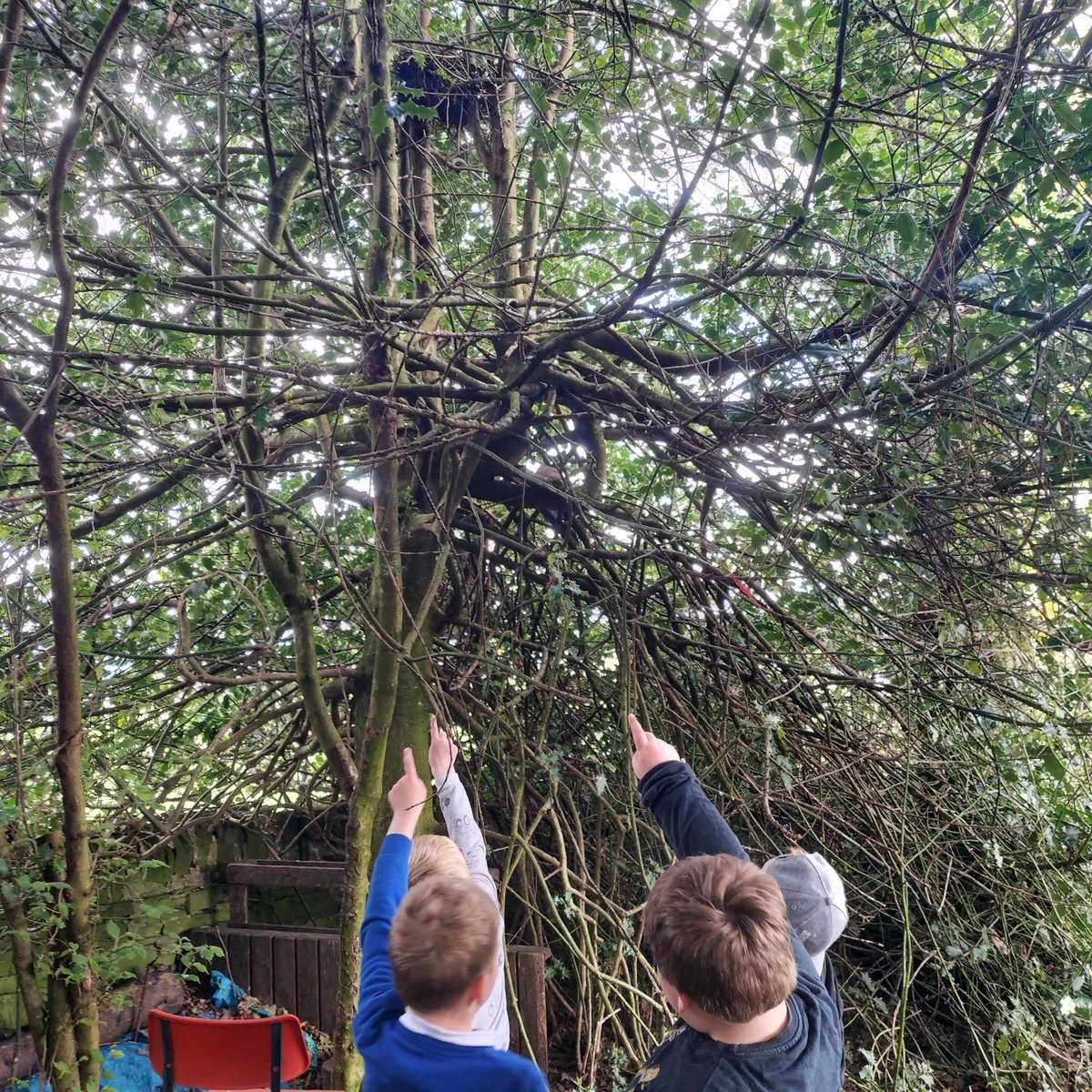 AberlemnoPS's tweet image. We have taken part in all the Live Lessons for Keep Scotland Tidy Natural Scotland Week.  Our P1-2 class took part in the Magpie's Nest and enjoyed listening to the story.  We went out to our wildlife garden to spot the different nests in our trees! @KSBScotland #ecolivelearning
