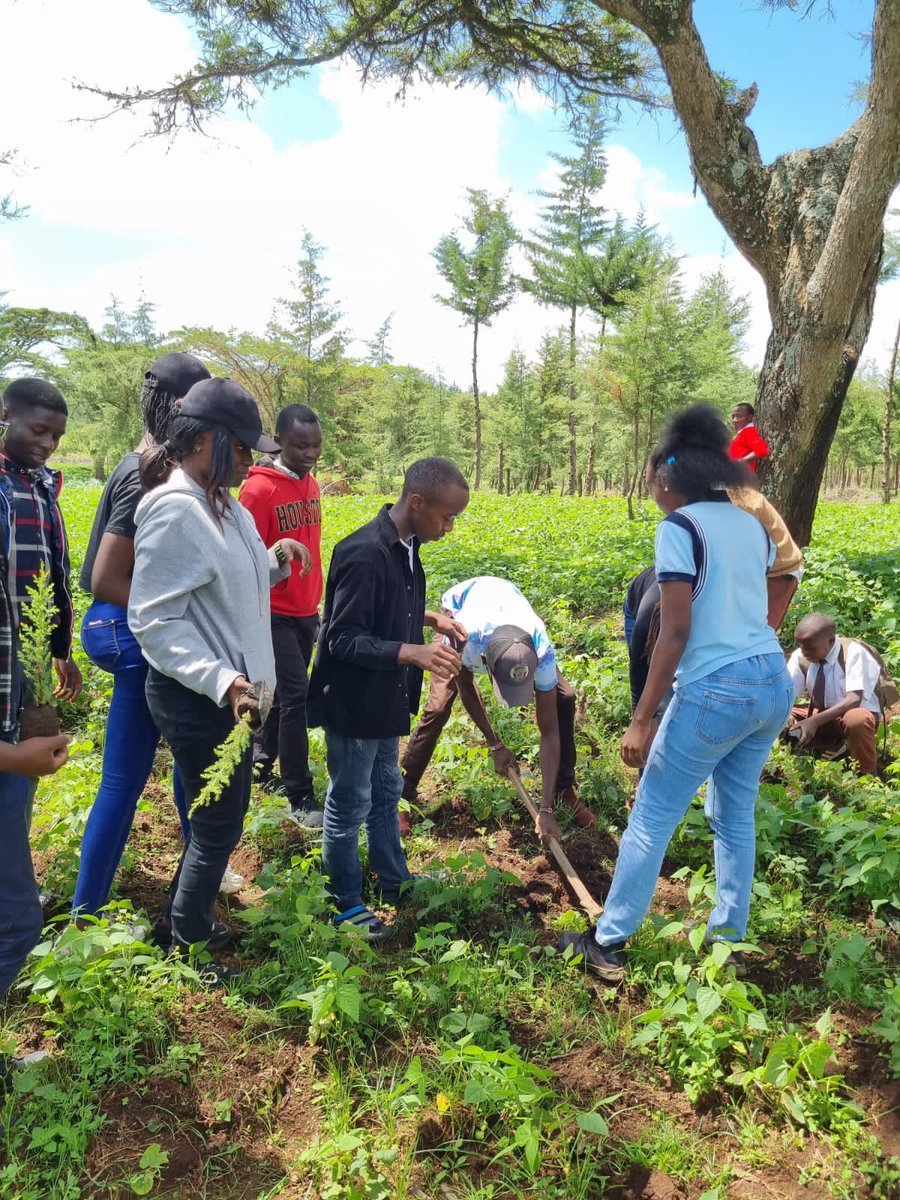 Muthonikate1's tweet photo. Human exposure to green surroundings and vegetation is broadly known to benefit both physical and mental health conditions.Let's all plant trees.
PS Rono
PCS Mudavadi
#OPCSTreePlanting https://t.co/7Bp3Umc4vP